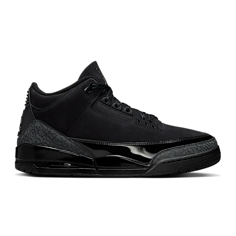 Air Jordan 3 Black Cat
