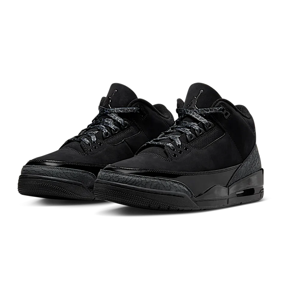 Air Jordan 3 Black Cat